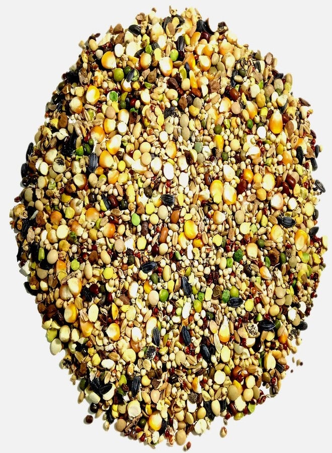 One Top Mixed 15 Types of Multi Growth Foods Seeds Nuts Big Parrot,Dove,Cockatoo,Macaw,and Other All Big Birds Natural Birds Foods and Mixed Nuts&Seeds All Eating Birds - Image 2